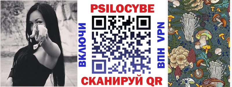 где продают   Бакал  Галлюциногенные грибы Magic Shrooms 